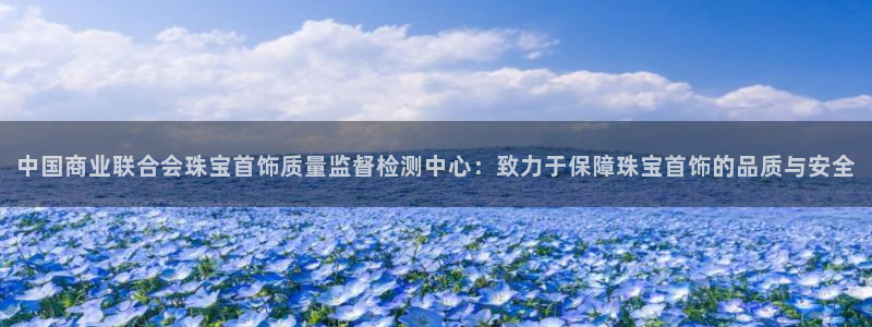 新宝5上来77542：中国商业联合会珠宝首饰质量监督检测中心：致力于保障珠宝首饰