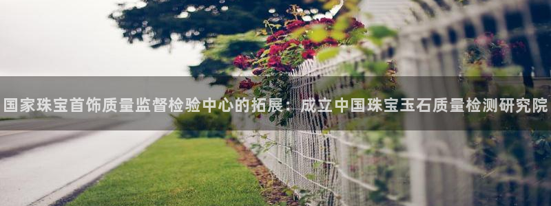 新宝5玩法：国家珠宝首饰质量监督检验中心的拓展：成立中国珠宝玉石质量检测研究院