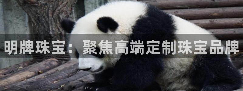 新宝5彩票娱乐平台：明牌珠宝：聚焦高端定制珠宝品牌