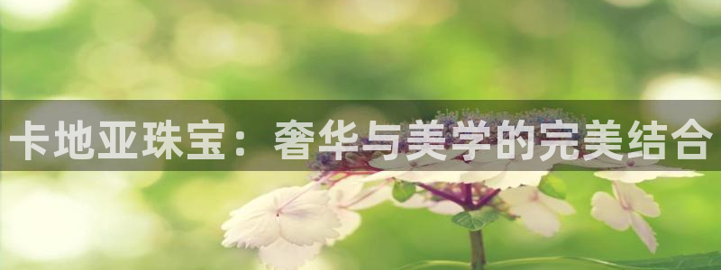新宝5户端：卡地亚珠宝：奢华与美学的完美结合