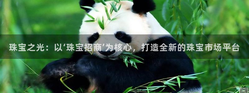 新宝5日740005蔻：珠宝之光：以‘珠宝招商’为核心，打造全新的珠宝市场平台