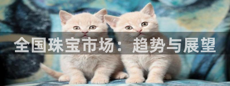新宝5测速线路：全国珠宝市场：趋势与展望