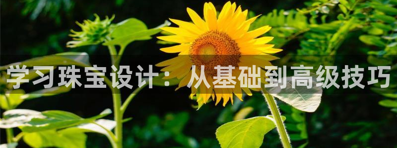 新宝5登录：学习珠宝设计：从基础到高级技巧