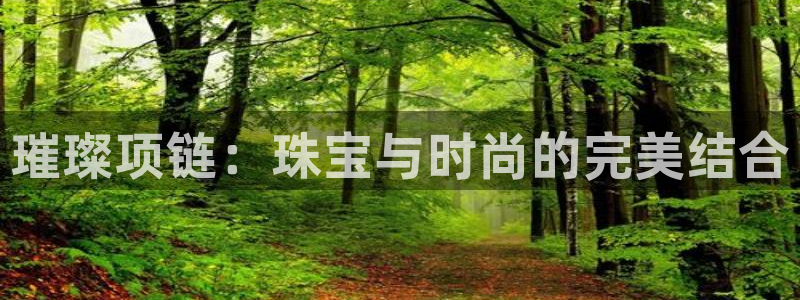 新宝5安卓版：璀璨项链：珠宝与时尚的完美结合