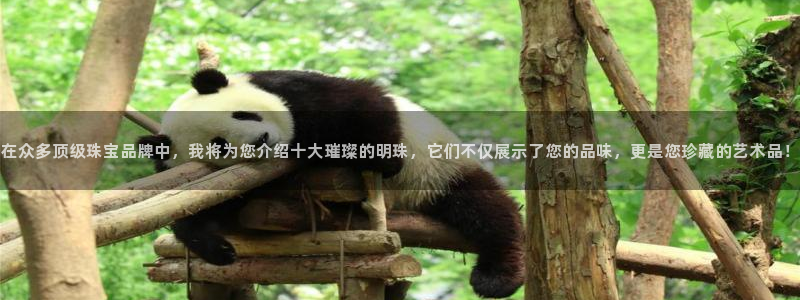 新宝5怎么下载到桌面：在众多顶级珠宝品牌中，我将为您介绍十大璀璨的明珠，它们不仅