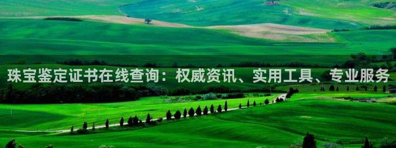 新宝5客户端登录：珠宝鉴定证书在线查询：权威资讯、实用工具、专业服务