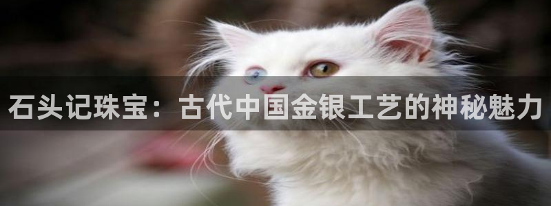 2022新宝骏rs 5：石头记珠宝：古代中国金银工艺的神秘魅力