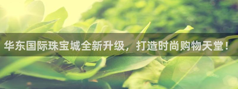 新宝速5：华东国际珠宝城全新升级，打造时尚购物天堂！