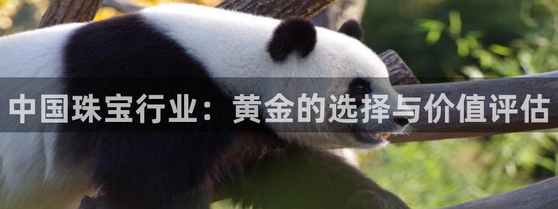 新宝5娱乐方：中国珠宝行业：黄金的选择与价值评估
