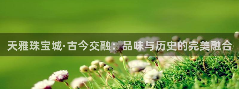 新宝6霸哥5：天雅珠宝城·古今交融：品味与历史的完美融合