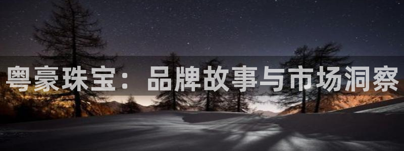 新宝5注册：粤豪珠宝：品牌故事与市场洞察