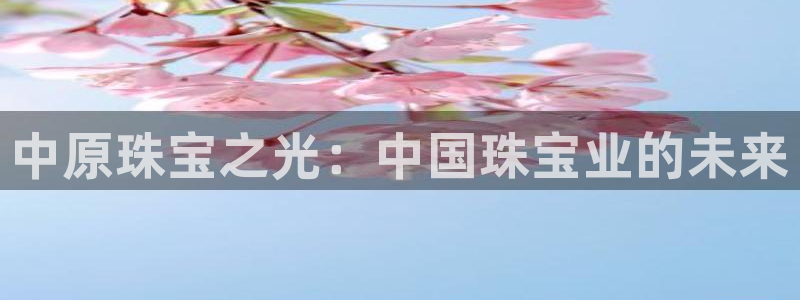 新宝5平台注册资金：中原珠宝之光：中国珠宝业的未来