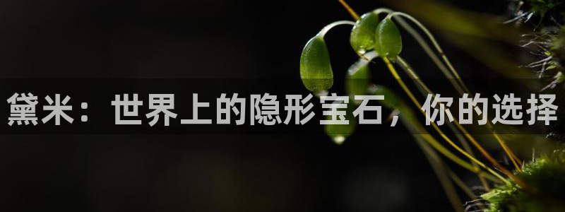 新宝5内部：黛米：世界上的隐形宝石，你的选择