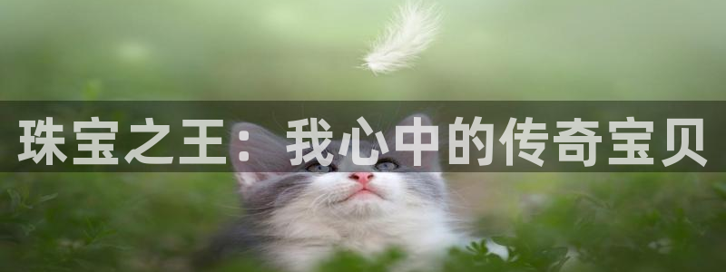 新宝5彩票是正规平台吗：珠宝之王：我心中的传奇宝贝