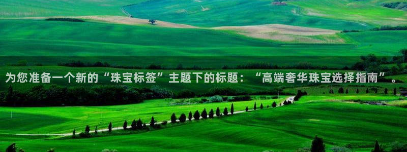 新宝5如何注册：为您准备一个新的“珠宝标签”主题下的标题：“高端奢华珠宝选择指南