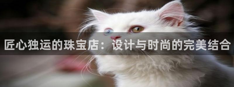 新宝5手机平台登陆：匠心独运的珠宝店：设计与时尚的完美结合