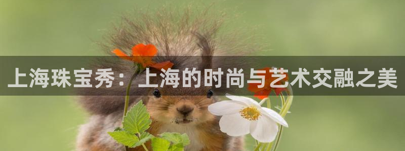 新宝5网址：上海珠宝秀：上海的时尚与艺术交融之美