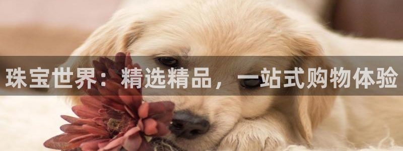 新宝5d：珠宝世界：精选精品，一站式购物体验