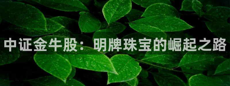 新宝5平台注册公司：中证金牛股：明牌珠宝的崛起之路