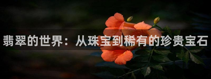 新宝娱乐5：翡翠的世界：从珠宝到稀有的珍贵宝石