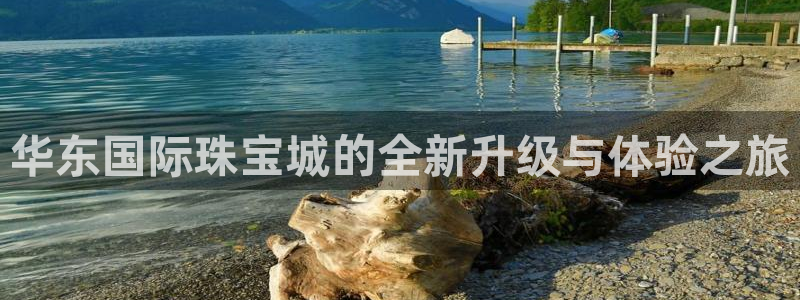 新宝 5测速：华东国际珠宝城的全新升级与体验之旅