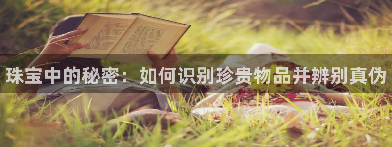 新宝5秒开：珠宝中的秘密：如何识别珍贵物品并辨别真伪