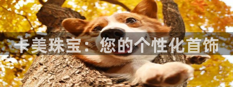 新宝骏rc5W：卡美珠宝：您的个性化首饰