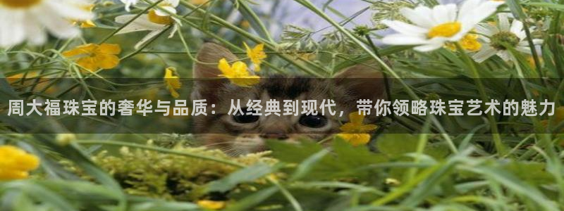 新宝5湫333 00：周大福珠宝的奢华与品质：从经典到现代，带你领略珠宝艺术的魅