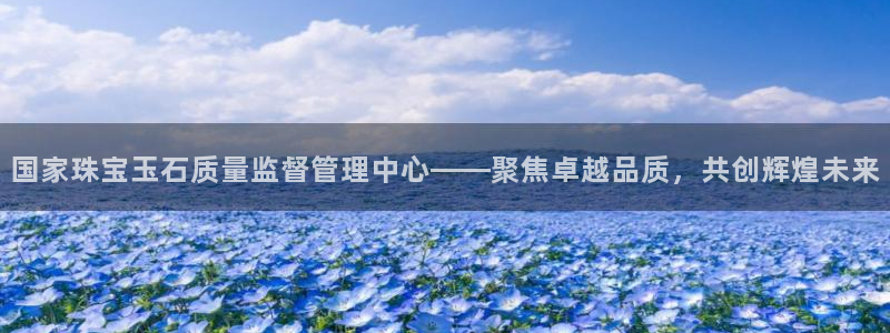新宝5黑：国家珠宝玉石质量监督管理中心——聚焦卓越品质，共创辉煌未来