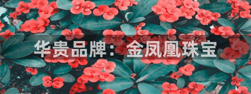 新宝5app：华贵品牌：金凤凰珠宝