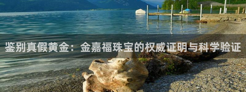 新宝5测速下载：鉴别真假黄金：金嘉福珠宝的权威证明与科学验证