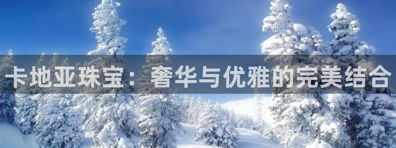 新宝5吕74OOO5：卡地亚珠宝：奢华与优雅的完美结合