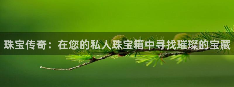 新宝5下载 迅雷下载：珠宝传奇：在您的私人珠宝箱中寻找璀璨的宝藏