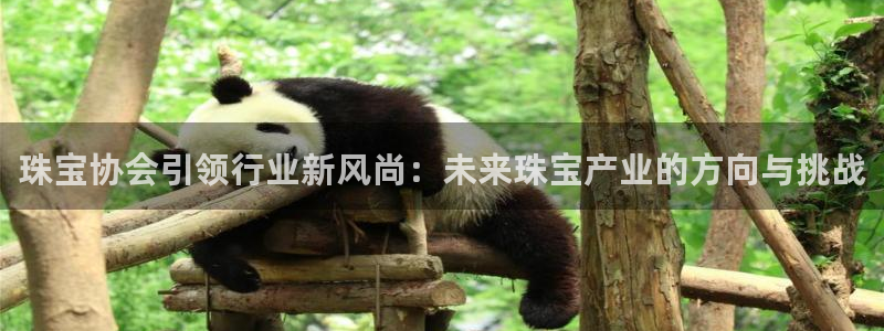 新宝j2O5O5O：珠宝协会引领行业新风尚：未来珠宝产业的方向与挑战