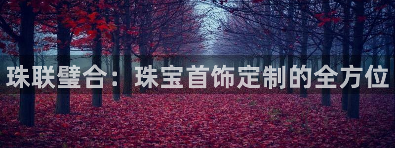 新宝5娱乐同：珠联璧合：珠宝首饰定制的全方位