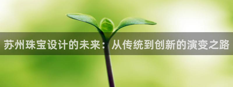新宝5电脑：苏州珠宝设计的未来：从传统到创新的演变之路