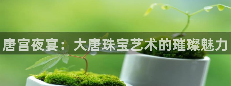 老新宝5授权登录：唐宫夜宴：大唐珠宝艺术的璀璨魅力