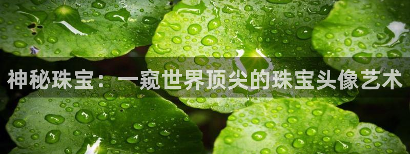 新宝5如何下载：神秘珠宝：一窥世界顶尖的珠宝头像艺术