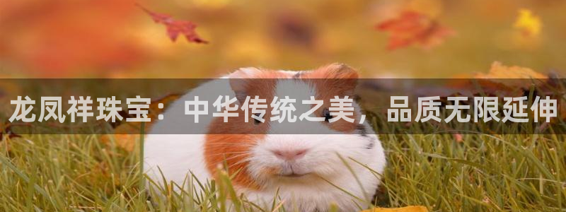 新宝5招商部：龙凤祥珠宝：中华传统之美，品质无限延伸