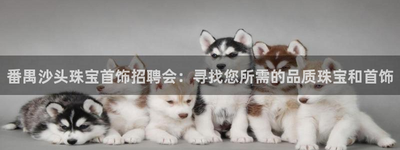 新宝5电脑登录网址：番禺沙头珠宝首饰招聘会：寻找您所需的品质珠宝和首饰