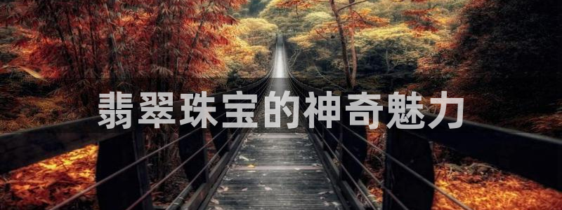 新宝5彩票娱乐平台：翡翠珠宝的神奇魅力