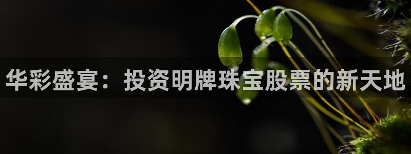 新宝5网址：华彩盛宴：投资明牌珠宝股票的新天地