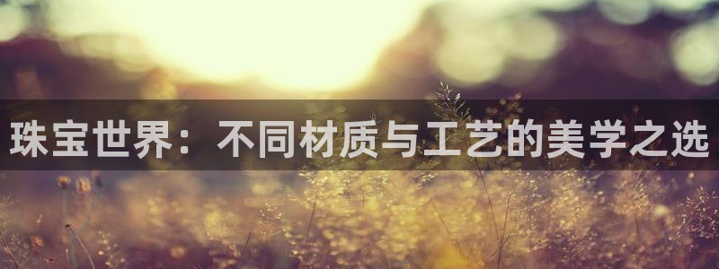 新宝股东王听2 5 5：珠宝世界：不同材质与工艺的美学之选