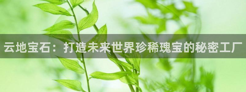 新宝5玩法：云地宝石：打造未来世界珍稀瑰宝的秘密工厂