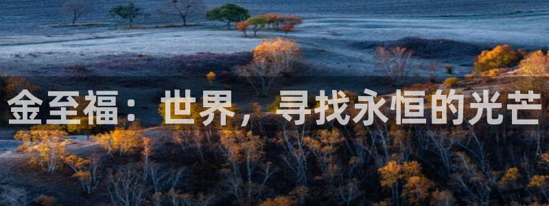 新宝5下载到桌面：金至福：世界，寻找永恒的光芒