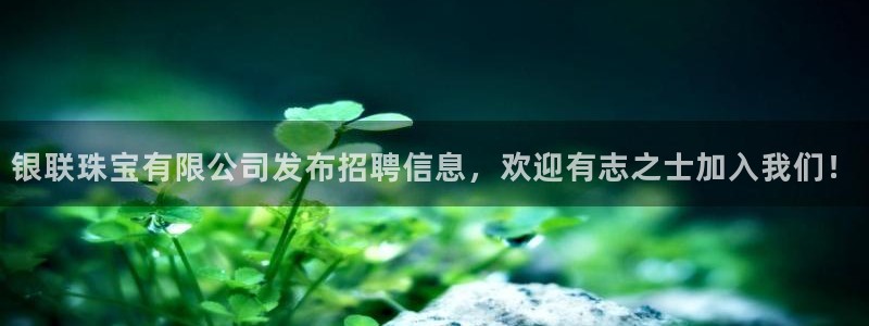 新宝5X：银联珠宝有限公司发布招聘信息，欢迎有志之士加入我们！