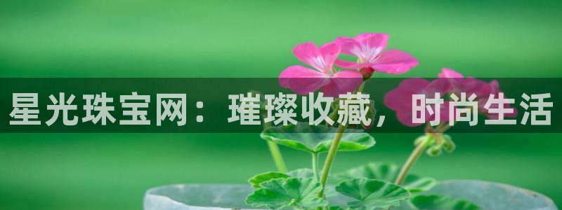 新宝5娱乐网址：星光珠宝网：璀璨收藏，时尚生活