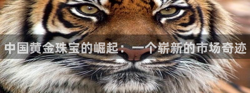 新宝rm5：中国黄金珠宝的崛起：一个崭新的市场奇迹