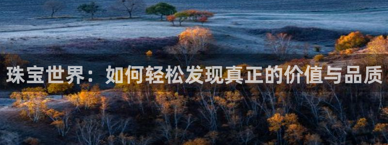 新宝5手机版：珠宝世界：如何轻松发现真正的价值与品质