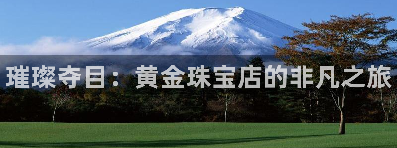 新宝5开户：璀璨夺目：黄金珠宝店的非凡之旅